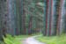 DSCF0561
