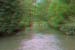 DSCF0579